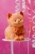 _EWA0417-Edit.jpg