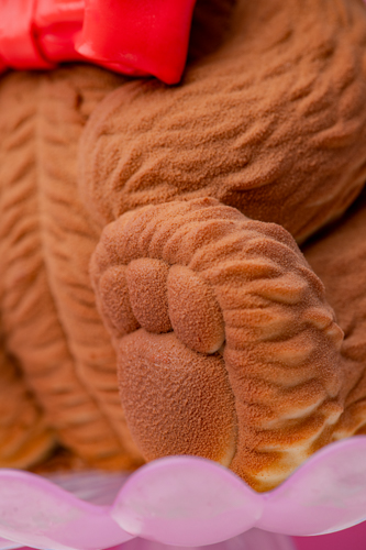 _EWA0337-Edit.jpg