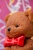 _EWA0339-Edit.jpg