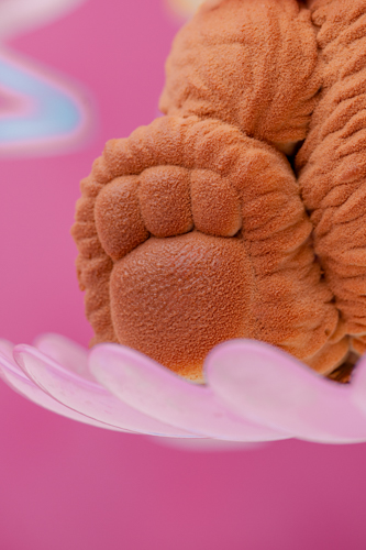 _EWA0342-Edit.jpg